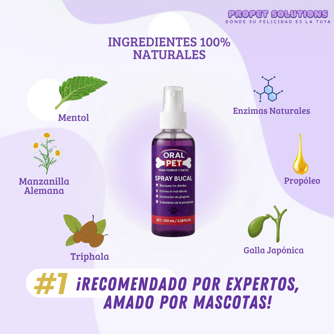 Encabezado